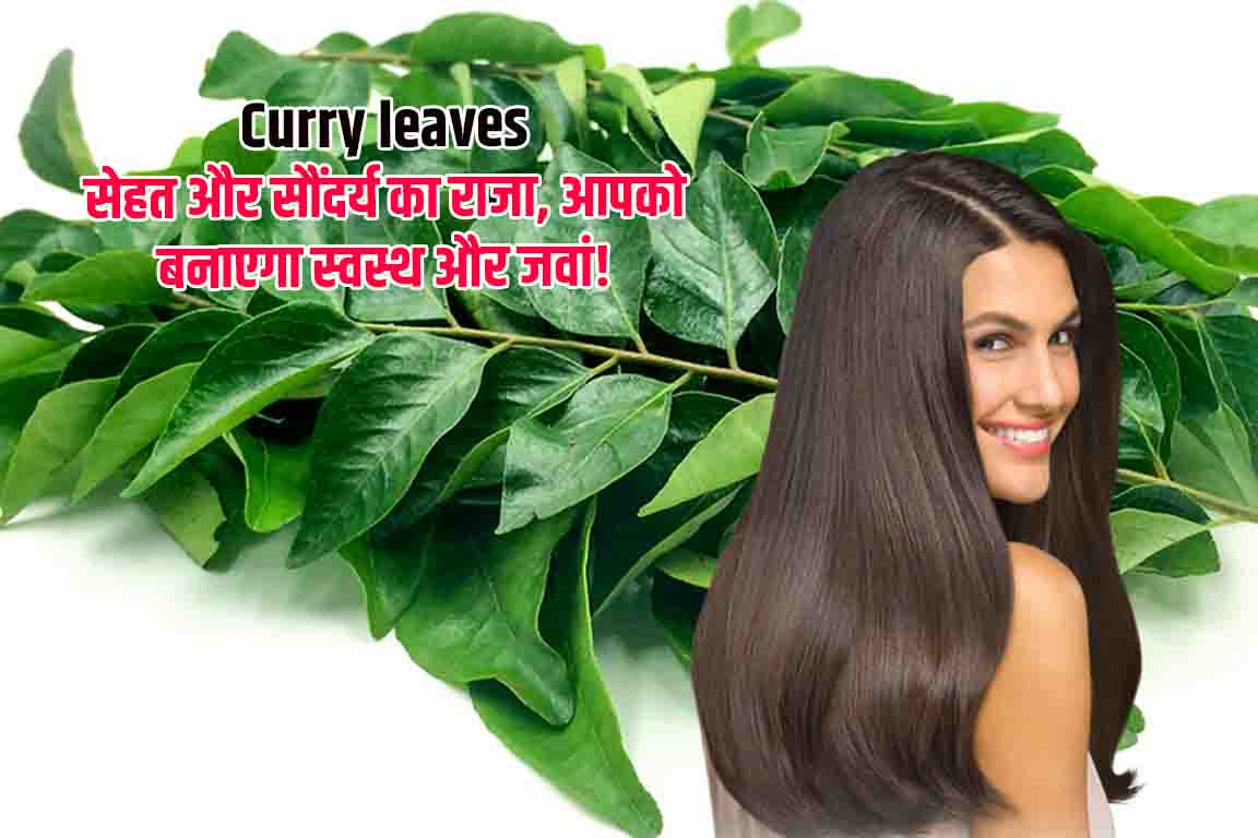 curry-leaves-in-hindi